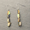 Natural Paua Shell Dangle Earrings
