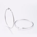 Large Hoop Earrings
