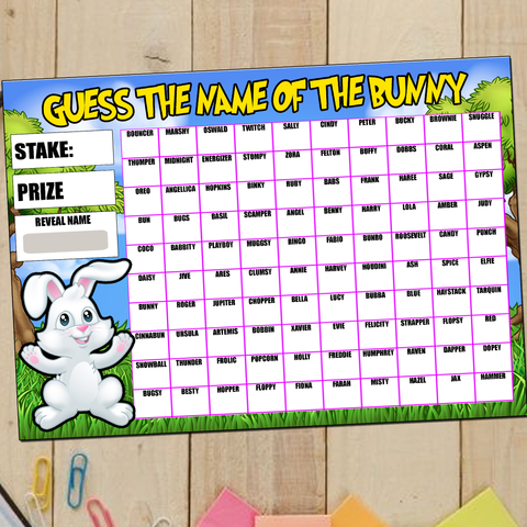 Guess the Name of Bunny Rabbit Fundraising Game Easter Spring Fete Fayre A4 2024