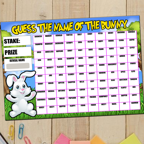 Guess the Name of Bunny Rabbit Fundraising Game Easter Spring Fete Fayre A4