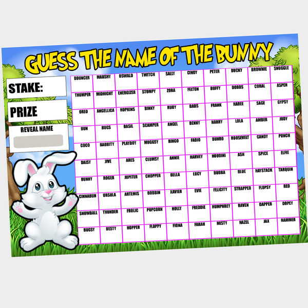 Guess the Name of Bunny Rabbit Fundraising Game Easter Spring Fete Fayre A4
