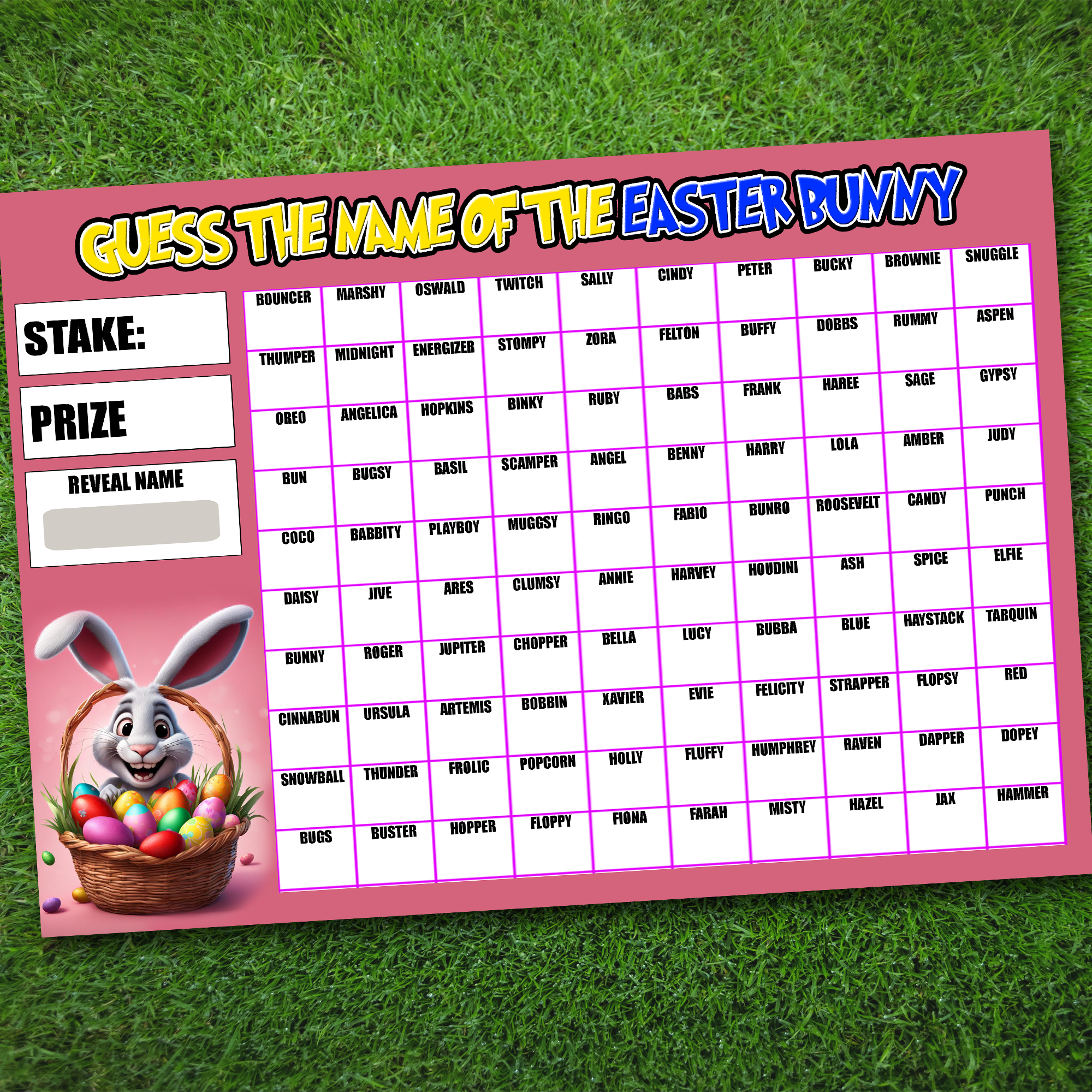 Guess the Name of EASTER Bunny Fundraising Game Easter Spring Summer Fete Fayre A4