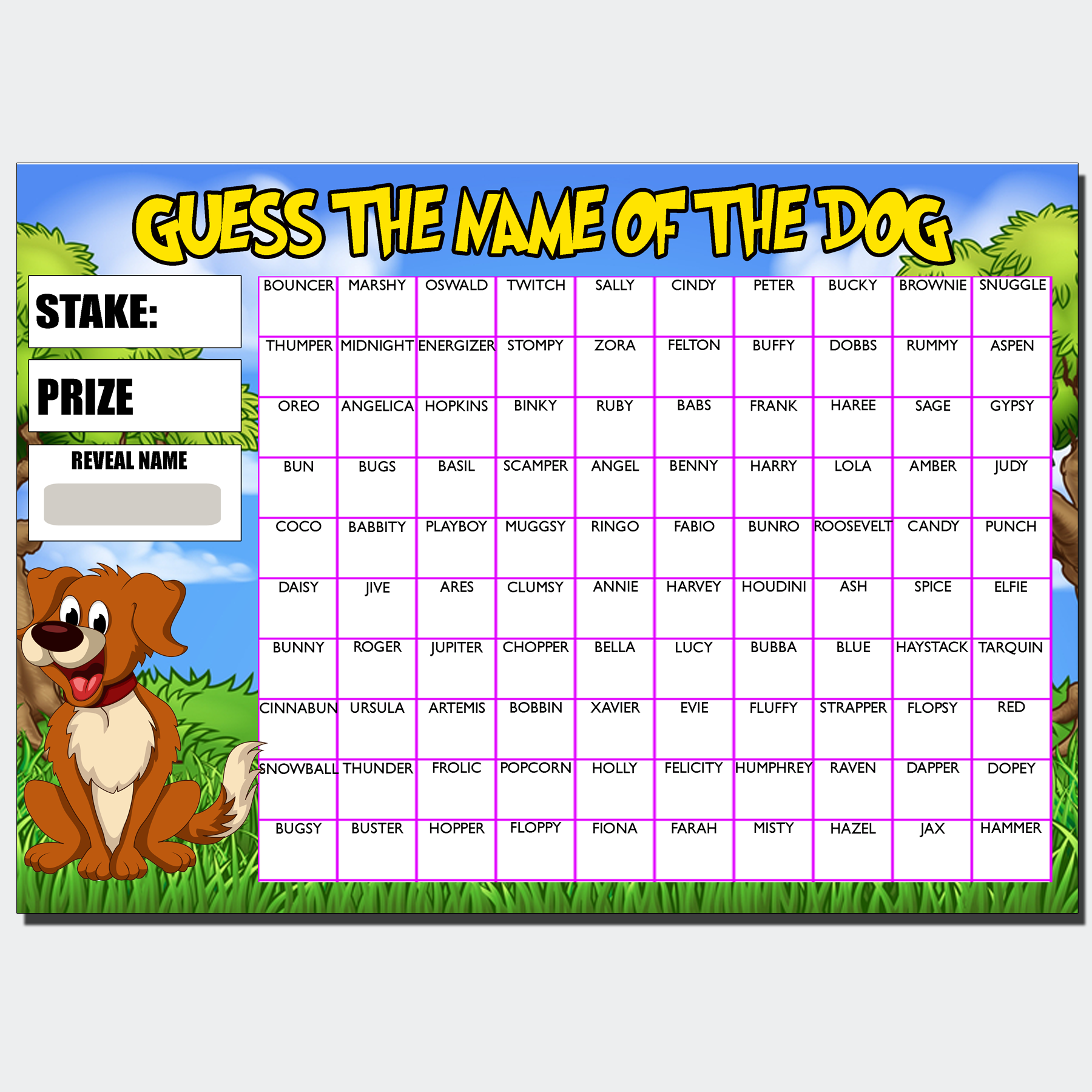 Fundraising Scratch card Game Guess the Dogs Name Fete Fayre A4