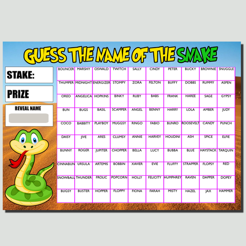 Fundraising Scratch card Game Guess the Snakes Name Fete Fayre A4