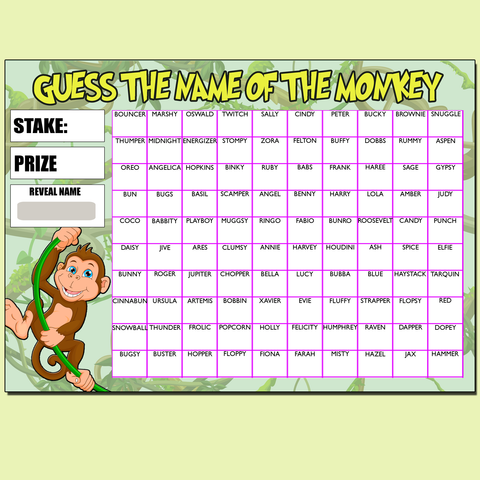 Fundraising Scratch card Game Guess the Monkeys Name Fete Fayre A4
