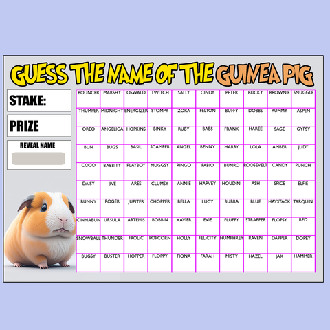 Fundraising Scratch card Game Guess the Guinea Pigs Name Fete Fayre A4