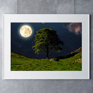 Sycamore Gap Hadrians Wall Moon Lit Mystical Art A4 Print