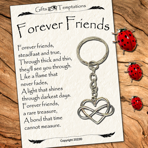 Forever Friends Friendship Gift Keyring