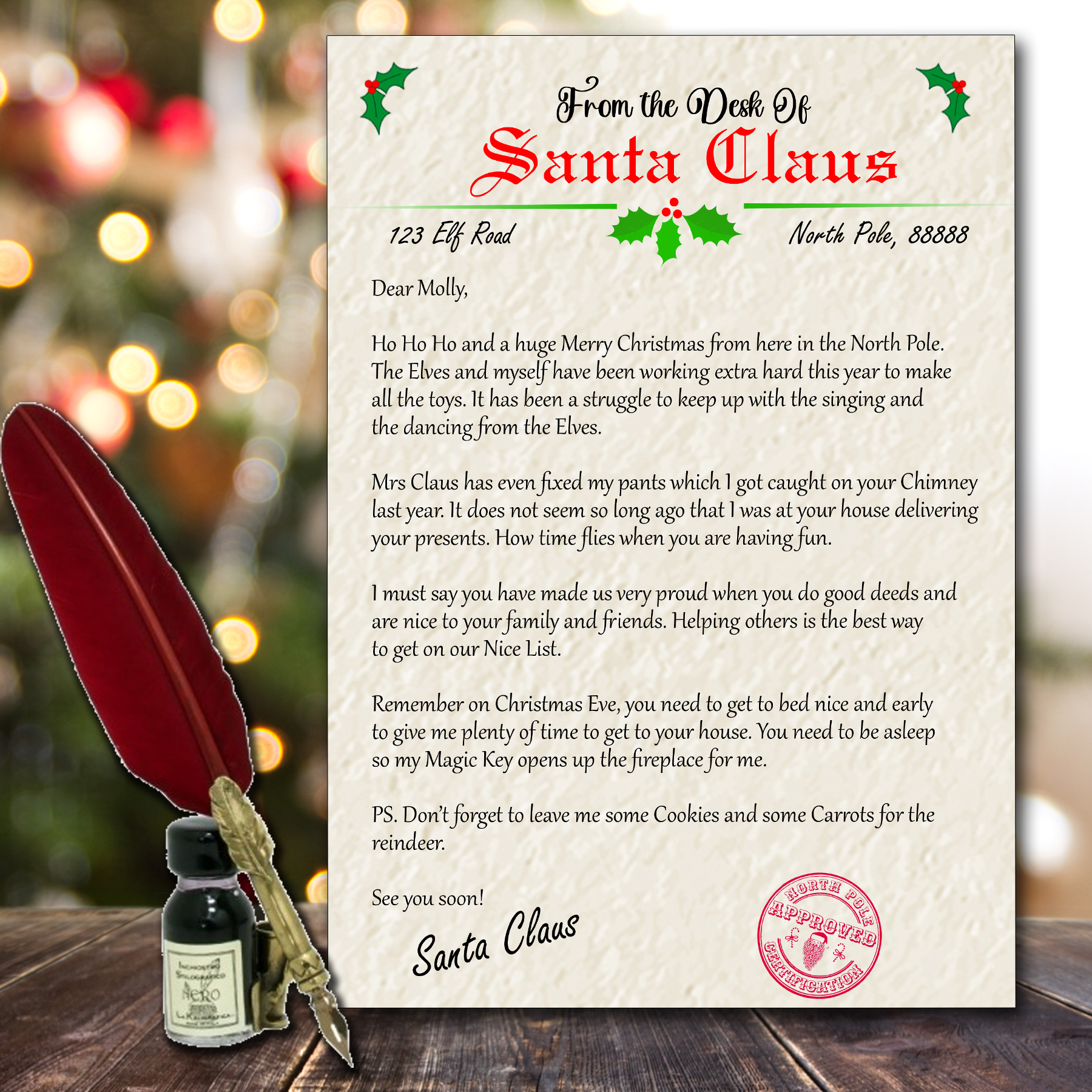 Personalised Letter From Santa Christmas Gift for Children