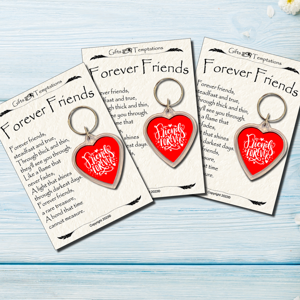 Forever Friends Friendship Gift Keyring Heart ❤️