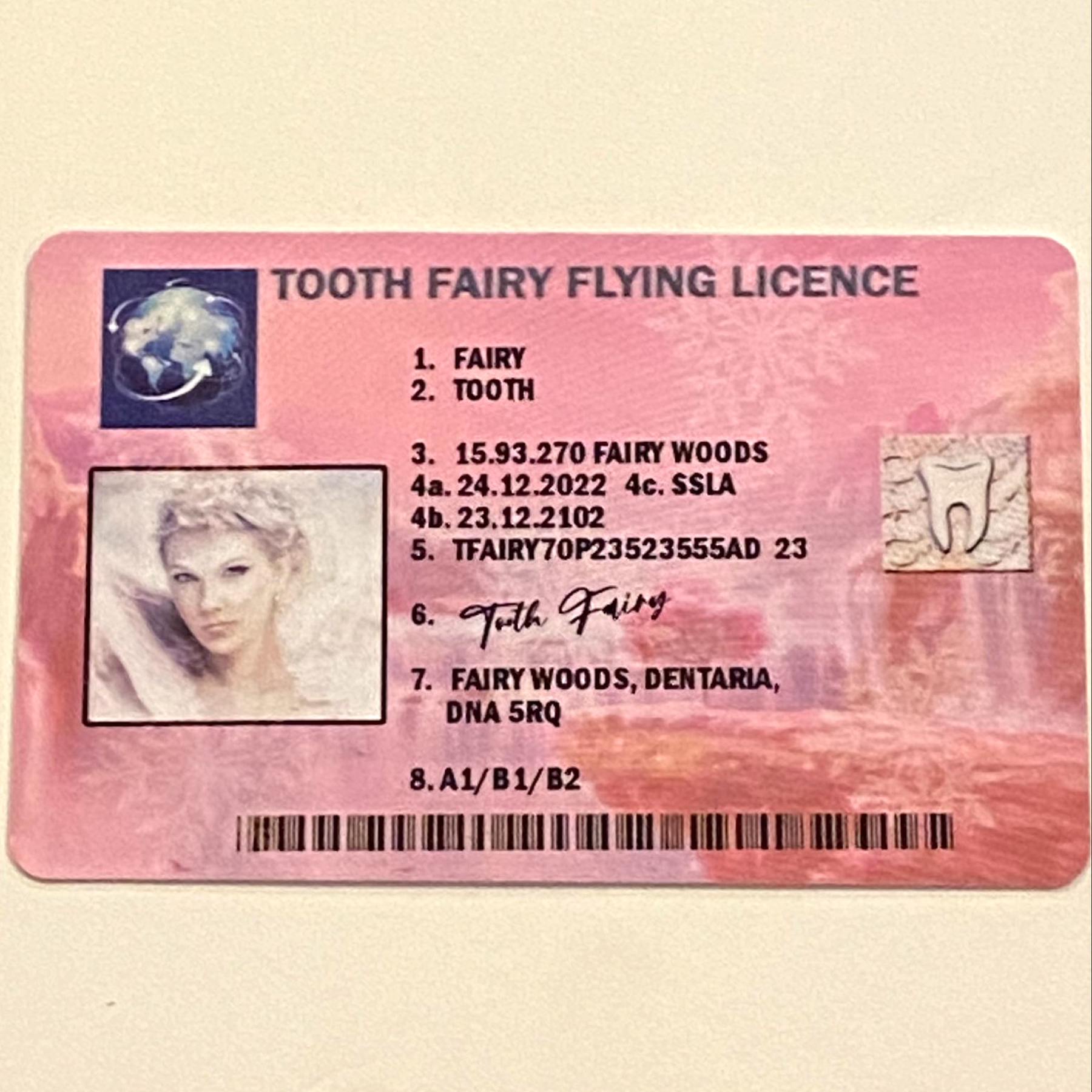Tooth Fairy Lost Flying Licence