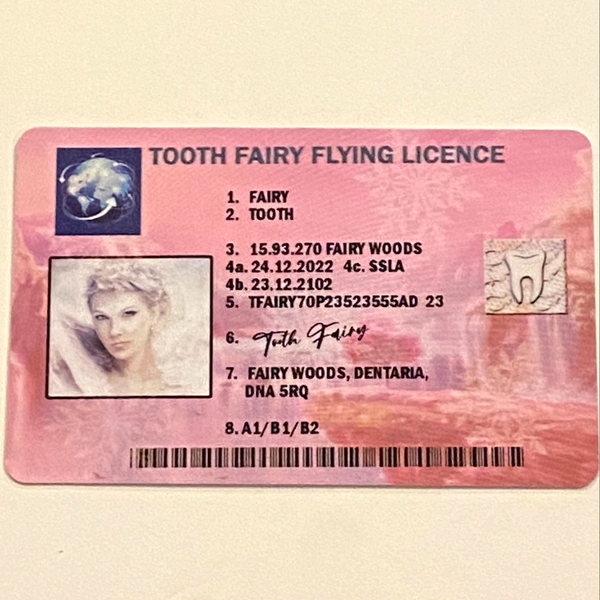 Tooth Fairy Lost Flying Licence