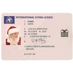 Santa Claus Lost Sleigh Flying Licence