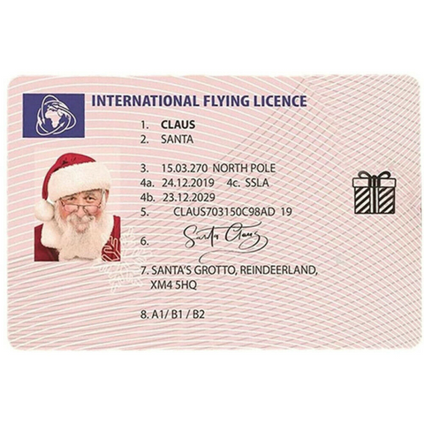 Santa Claus Lost Sleigh Flying Licence