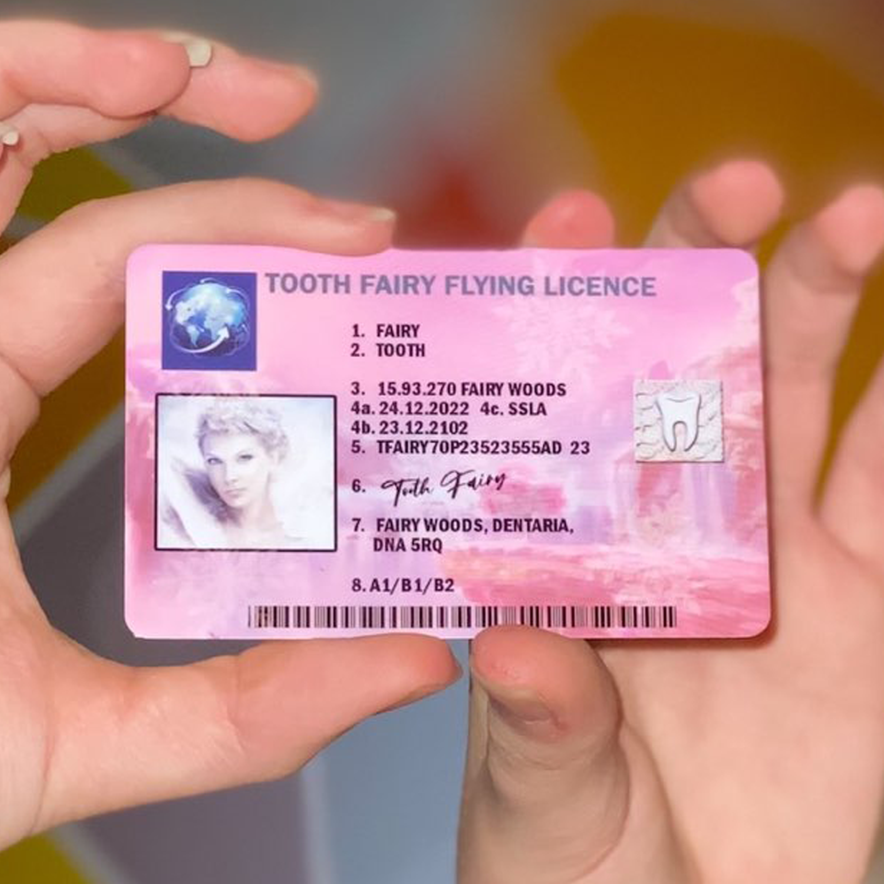 Tooth Fairy Lost Flying Licence